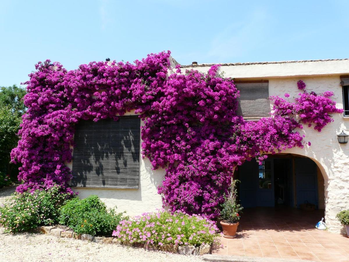 Casa Rural Con Encanto, 4 Hab Con 4 Banos Completos En Suite, Piscina Y Campo Privado Педрегер Экстерьер фото
